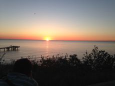IMG_2897.jpg